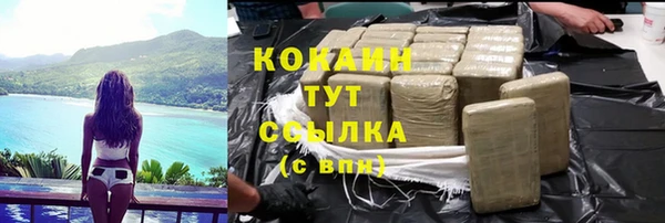 ГАЛЛЮЦИНОГЕННЫЕ ГРИБЫ Козловка
