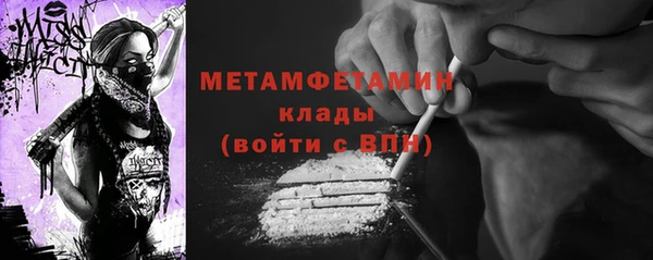 ГАЛЛЮЦИНОГЕННЫЕ ГРИБЫ Козловка