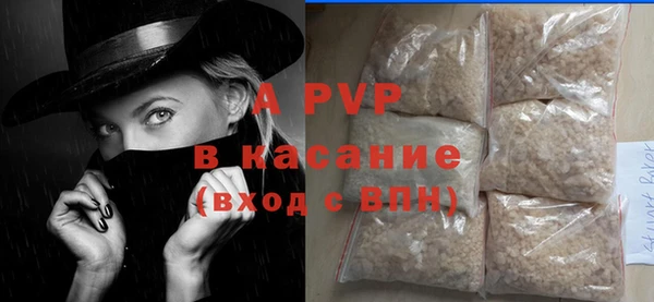 ГАЛЛЮЦИНОГЕННЫЕ ГРИБЫ Козловка