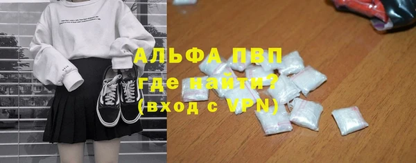 ГАЛЛЮЦИНОГЕННЫЕ ГРИБЫ Козловка