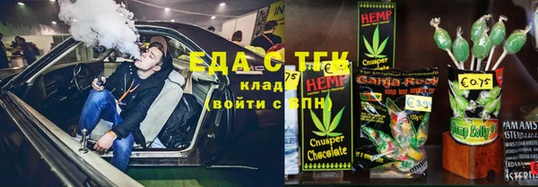 ГАЛЛЮЦИНОГЕННЫЕ ГРИБЫ Козловка