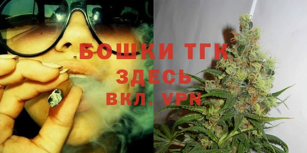 ГАЛЛЮЦИНОГЕННЫЕ ГРИБЫ Козловка