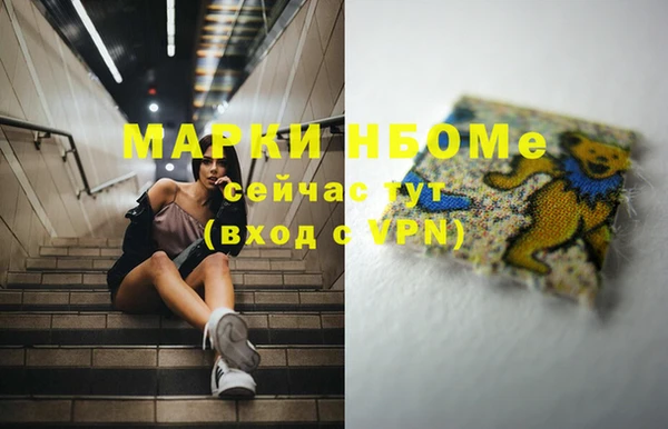 ГАЛЛЮЦИНОГЕННЫЕ ГРИБЫ Козловка