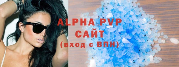 ГАЛЛЮЦИНОГЕННЫЕ ГРИБЫ Козловка