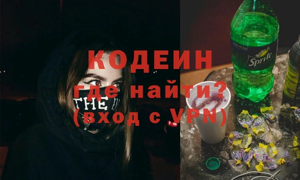 ГАЛЛЮЦИНОГЕННЫЕ ГРИБЫ Козловка