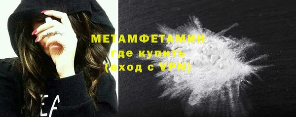 ГАЛЛЮЦИНОГЕННЫЕ ГРИБЫ Козловка