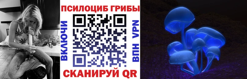 Галлюциногенные грибы ЛСД  магазин продажи   Питкяранта 